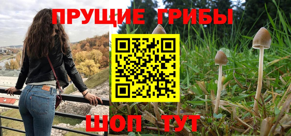 Псилоцибиновые грибы мухоморы Волхов