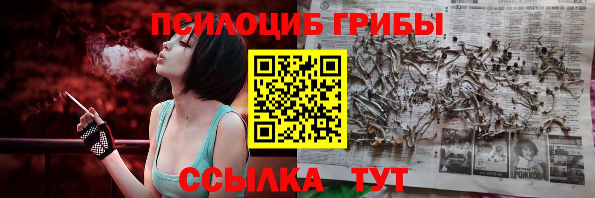 Галлюциногенные грибы мухоморы  Вход с VPN  Волхов 